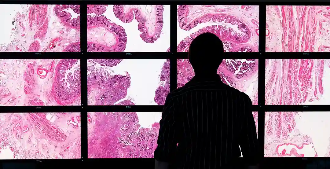 دسترسی به پاسخ‌ها