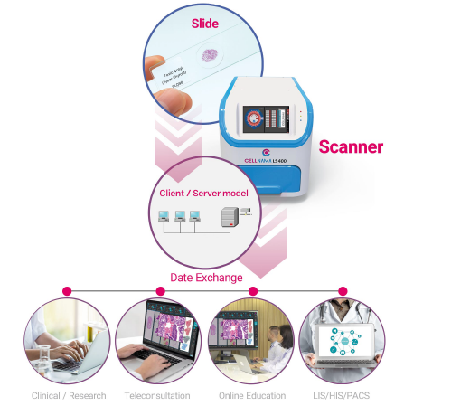 Digital Pathology