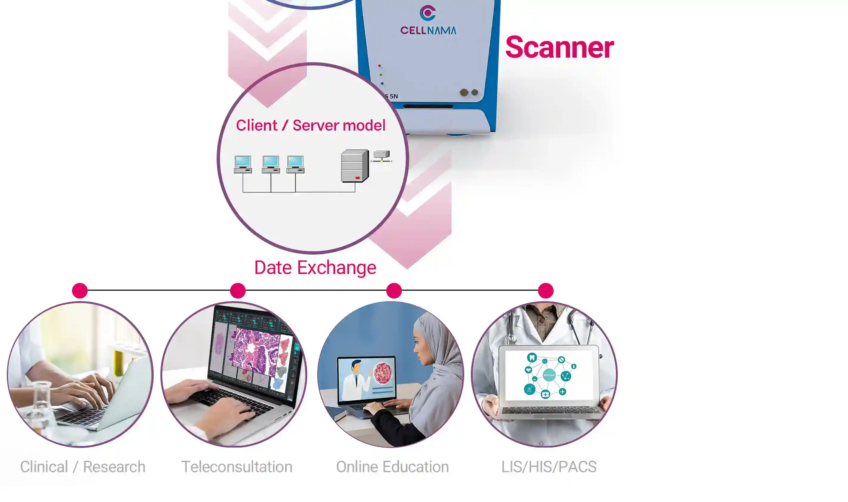 Digital Pathology